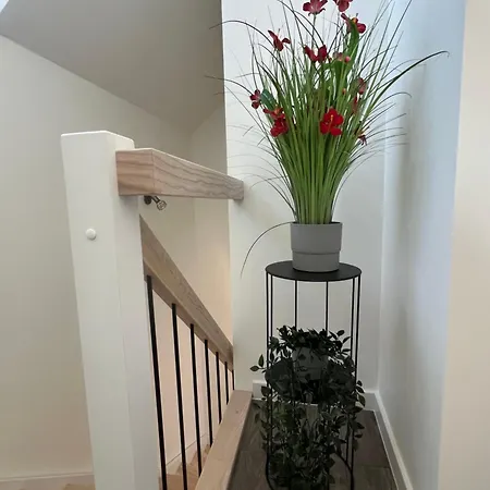 Osupio Tako Lux Vilos With Free Parking Villa