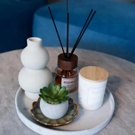 Osupio Tako Lux Vilos With Free Parking Palanga