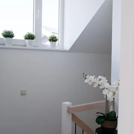 Villa Osupio Tako Lux Vilos With Free Parking Palanga