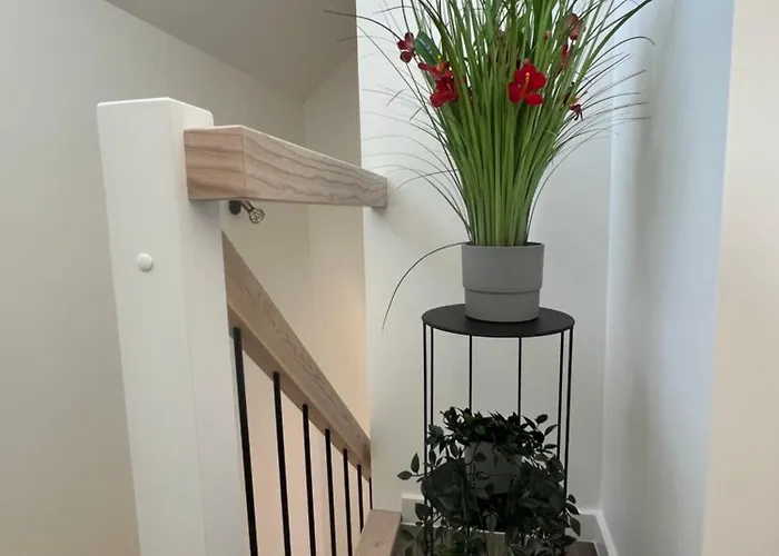 Osupio Tako Lux Vilos With Free Parking וילה