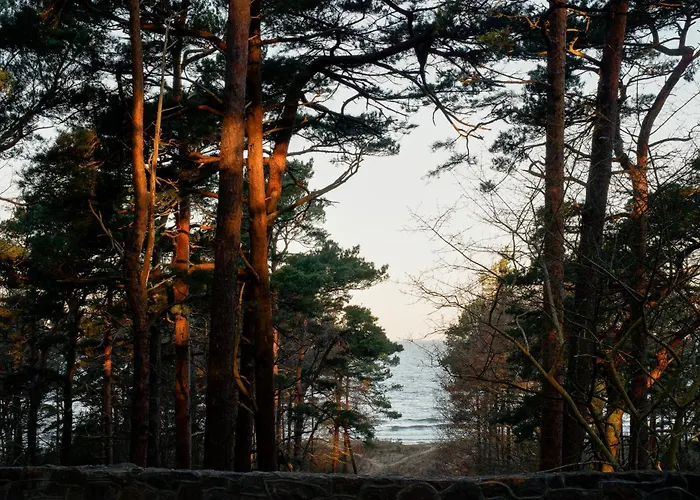 Osupio Tako Lux Vilos With Free Parking וילה